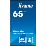 iiyama ProLite LH6560UHS-B2AG, Public Display schwarz (matt), UltraHD/4K, VA, Lautsprecher,