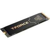 Team Group T-FORCE GE Pro 1 TB, SSD schwarz/gold, PCIe 5.0 x4 | M.2 2280 | Graphen-Kühlkörper