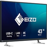 EIZO EV4340X-BK, LED-Monitor 108 cm (42.5 Zoll), schwarz, UltraHD/4K, IPS, Fernbedienung, USB-C