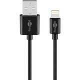 goobay Apple Lightning Dual-Ladeset 12 Watt, Ladegerät schwarz, 1 Meter Kabel