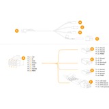 EKWB EK-Loop OmniLink 6-Pin-Stromkabel (Dual PWM) schwarz, 50cm