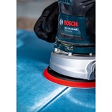 Bosch Expert C470 Schleifblatt, Ø 125mm, K40 Multilochung 50 Stück, für Exzenterschleifer