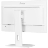 iiyama ProLite XUB2497HSN-W2, LED-Monitor 60.5 cm (23.8 Zoll), weiß (matt), FullHD, IPS, USB-C, RJ-45, 100Hz Panel