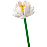 LEGO 40647 Botanicals Lotusblumen, Konstruktionsspielzeug 