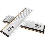 ADATA DIMM 32 GB DDR5-6400 (2x 16 GB) Dual-Kit, Arbeitsspeicher weiß, AX5U6400C3216G-DTLABWH, XPG Lancer Blade, INTEL XMP, AMD EXPO