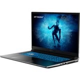 Medion ERAZER Defender P50 (MD62616), Gaming-Notebook schwarz, Windows 11 Home 64-BIt, 43.9 cm (17.3 Zoll) & 144 Hz Display, 2 TB SSD