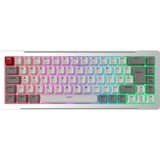 RAIJINTEK MGA-68, Gaming-Tastatur silber, DE-Layout, Hejin Magnetic Yellow