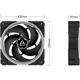 Arctic BioniX P120 A-RGB, Gehäuselüfter schwarz, 120 mm