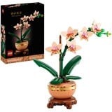 10343 Botanicals Mini-Orchidee, Konstruktionsspielzeug