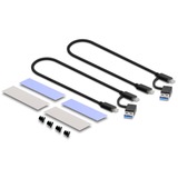 DeLOCK Externes USB Type-C Dual Combo Gehäuse für 2 x M.2 N, Laufwerksgehäuse grau