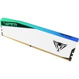 Patriot DIMM 32 GB DDR5-6000, Arbeitsspeicher weiß, PVER532G60C42W, Elite 5 RGB, INTEL XMP, AMD EXPO