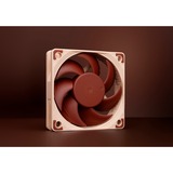 Noctua Noctua NF-A6x15 5V PWM, Gehäuselüfter 