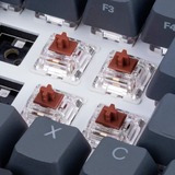 Sharkoon Gateron Pro 3.0 Brown Switch-Set, Tastenschalter braun/transparent, 35 Stück