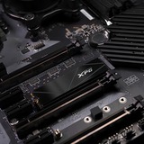 ADATA XPG GAMMIX S50 Core 1.0 TB, SSD schwarz, PCIe 4.0 x4, NVMe 1.4, M.2 2280