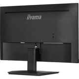 iiyama XU2491H-B1, LED-Monitor 60.5 cm (23.8 Zoll), schwarz (matt), FullHD, IPS, Adaptive-Sync, 100Hz Panel