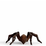 Schleich Wizarding World Harry Potter - Aragog, Spielfigur 