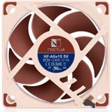 Noctua NF-A6x15 5V, Gehäuselüfter 