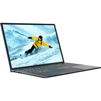 Medion E16433, Notebook grau, Windows 11 Home 64-Bit, 40.6 cm (16 Zoll), 1 TB SSD